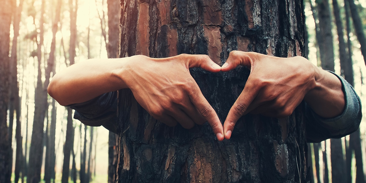 hands and arms reaching around a tree, fingers forming a heart