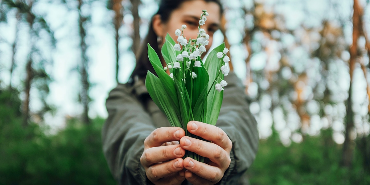 person holding wild flowers.