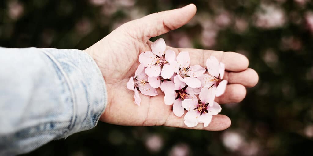 hand holding beautiful flowers