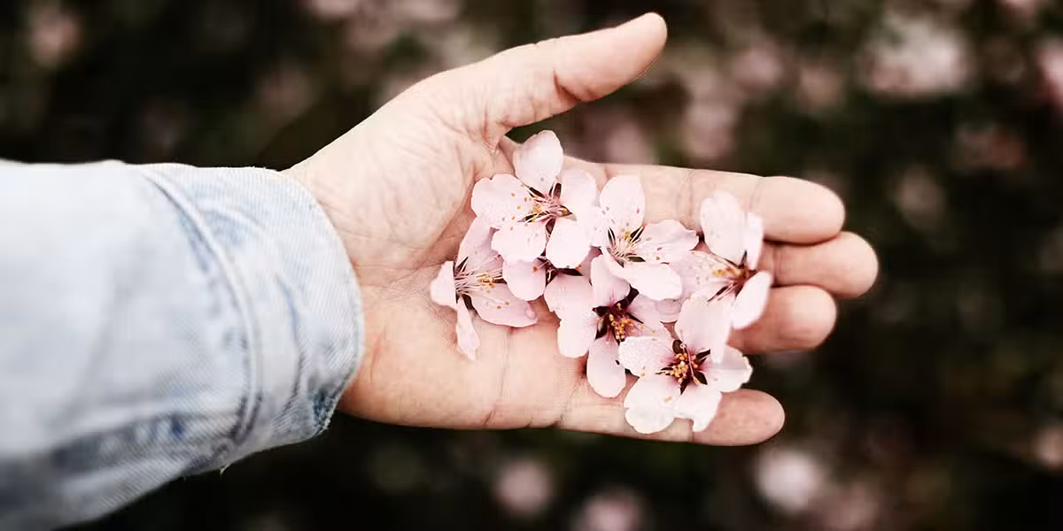 hand holding beautiful flowers