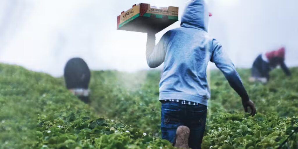 Farm worker during a workday