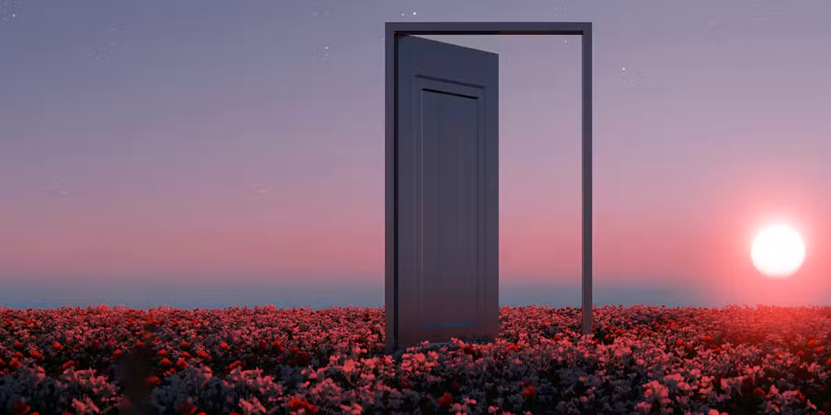 open door surrounded by flowers in a field during a sunset.