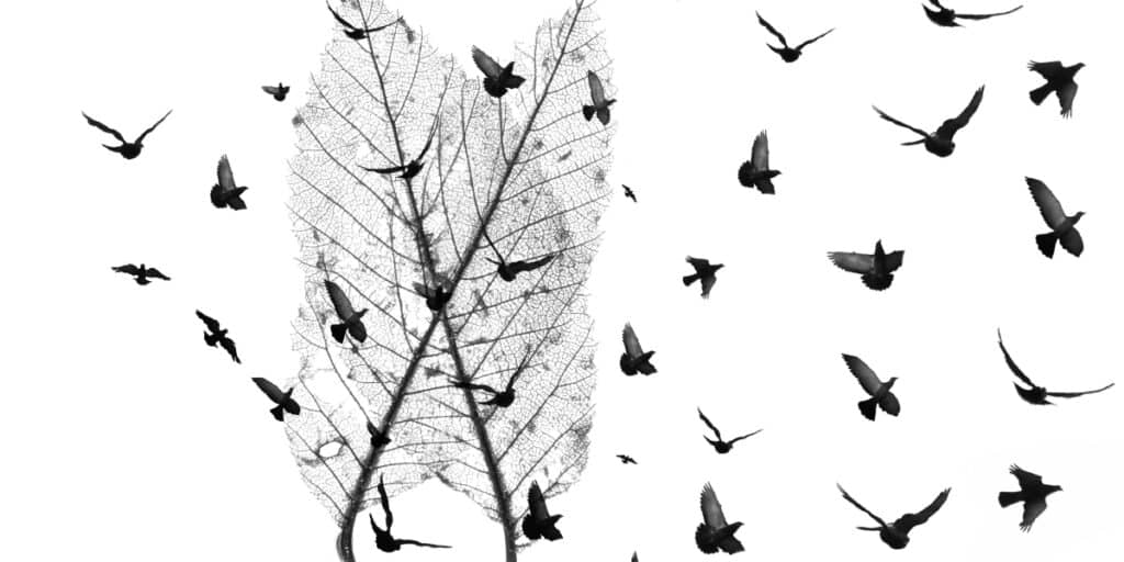 Autumn illustration with birds