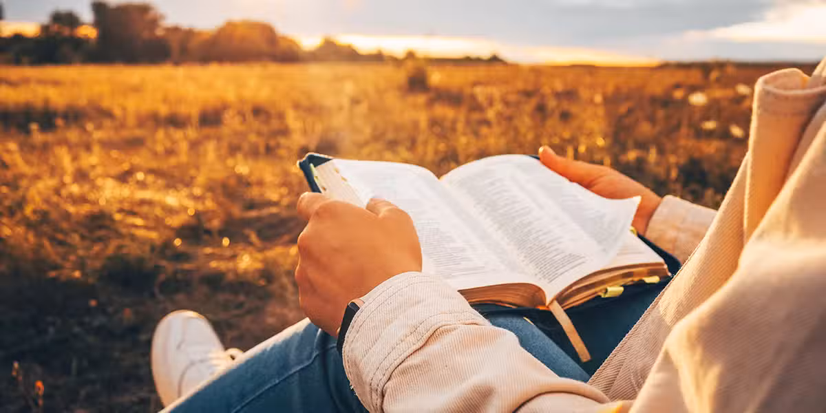 Person reading the Bible in a field.