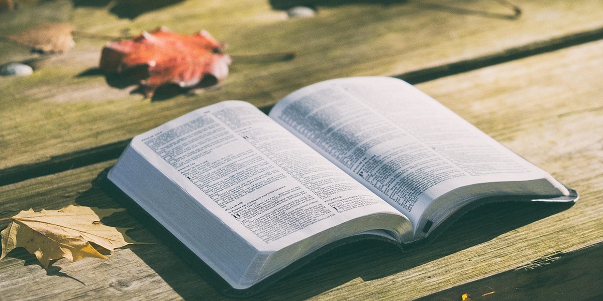 Bible on picnic table surrounded by leaves