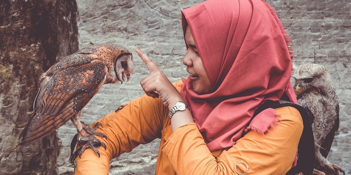 Girl petting owl