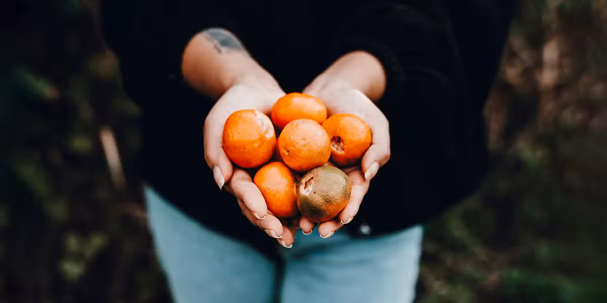 Person giving oranges | Elianna Gill | Unsplash