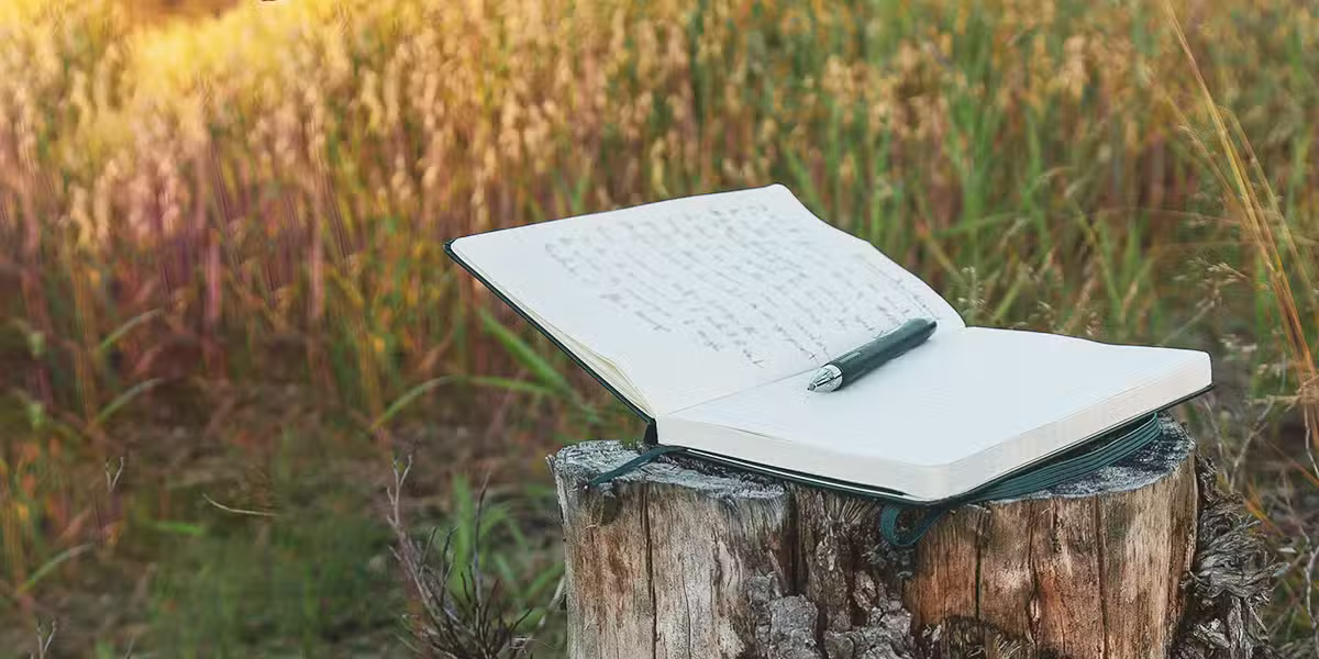grace at the threshold, open journal on a wood log; Nicolas Messifet/Unsplash