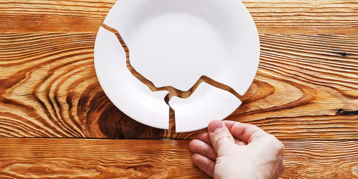 the gift, the giver, and the giving; hand holding a broken dish