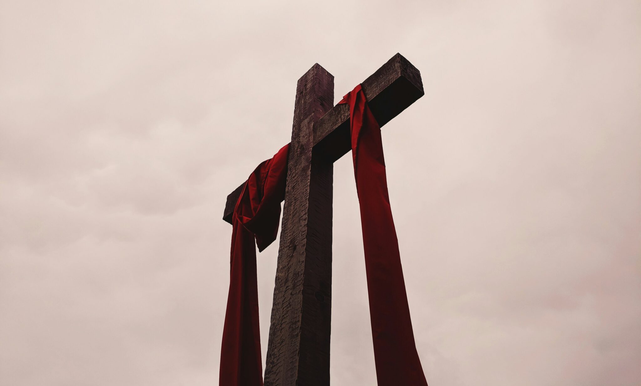 photo-by-alicia-quan