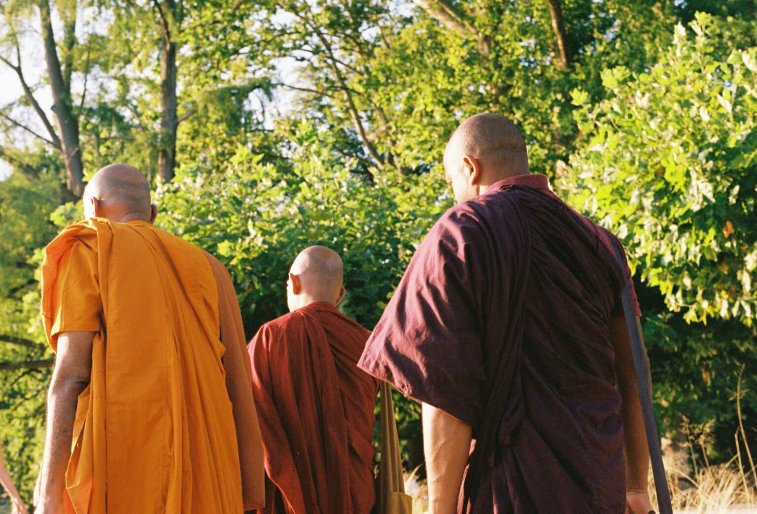 Peace Walk | Franciscan Media