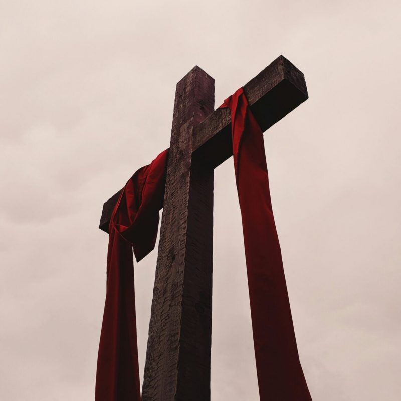 photo-by-alicia-quan