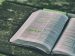 bible-1868359_1920