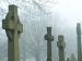 graves