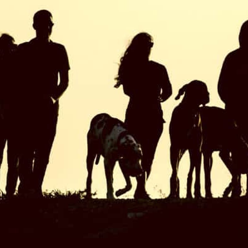 family-dogs-silhouette