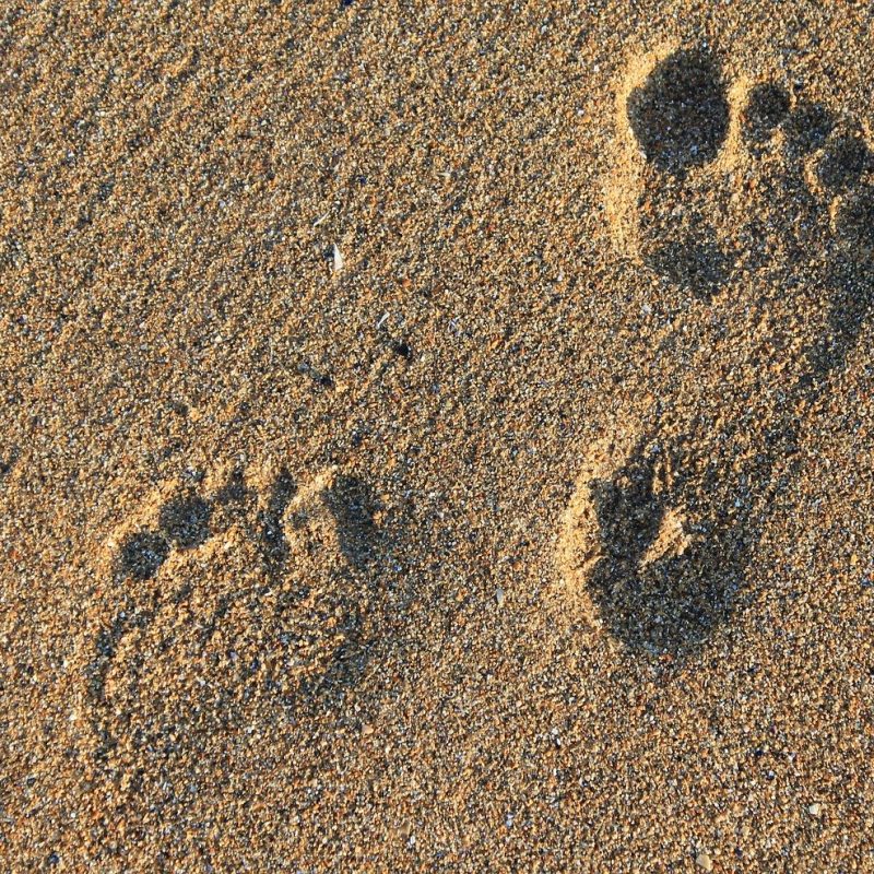 footprint-2353510_1920