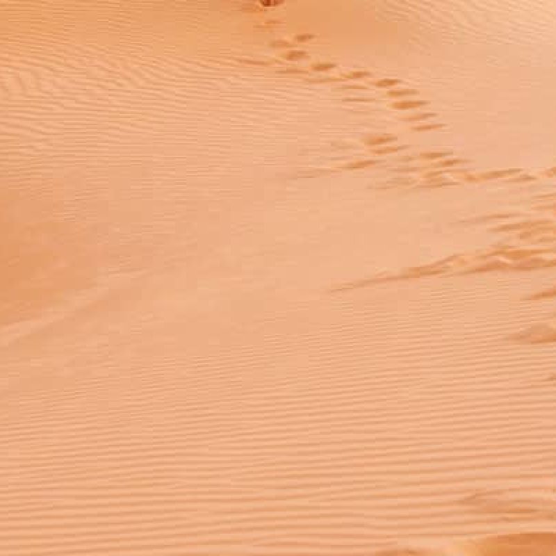 footsprints-desert-sand