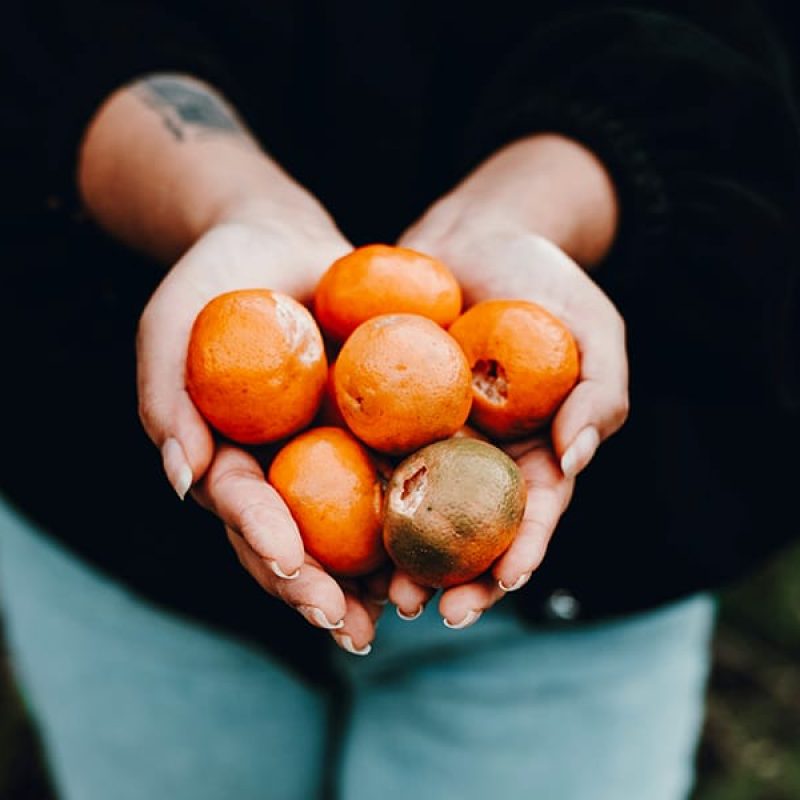 Person giving oranges | Elianna Gill | Unsplash