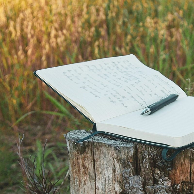 grace at the threshold, open journal on a wood log; Nicolas Messifet/Unsplash
