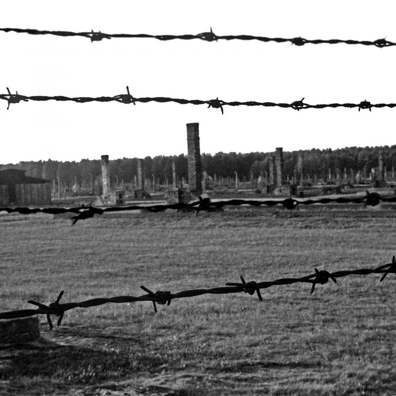 barbed wire fence in a field