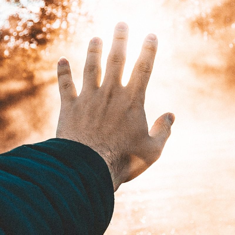hand reaching for a light with forest in the background
