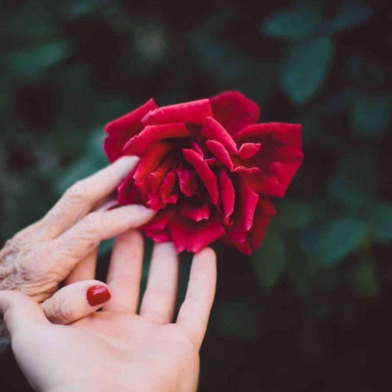 jake-thacker-I63YZy3S9Ns-unsplash