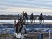 Lakota riders arrive at the government building where they will meet Brad Upton, descendant of the commander of the Wounded Knee massacre on the Cheyenne River reservation in Eagle Butte, S.D., Nov. 6, 2019. Bishop Scott E. Bullock of Rapid City, S.D., and the state's Jesuits, have condemned Defense Secretary Pete Hegseth's decision to retain the Medal of Honor for the U.S. soldiers that massacred 300 Lakota people at Wounded Knee in 1890. (OSV News photo/Stephanie Keith, Reuters)