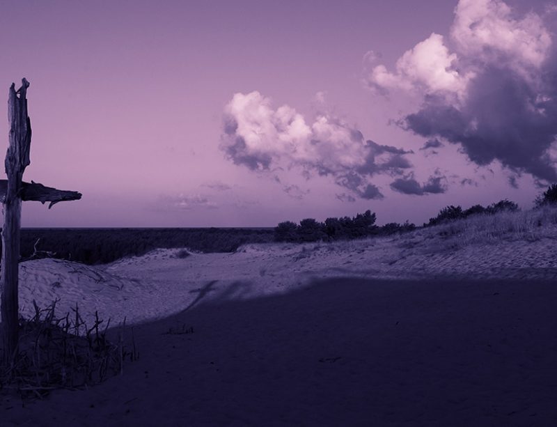 Lenten Reflections with Friar Jim