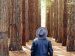 man wearing a hat, looking up at very large trees in a forest.