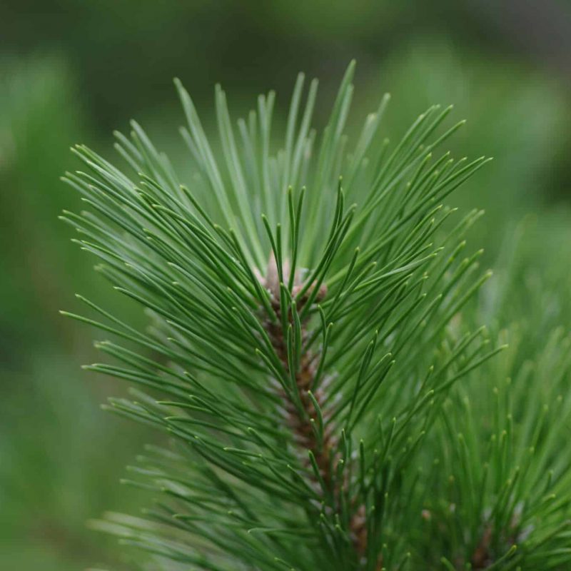 photo-by-naoki-suzuki