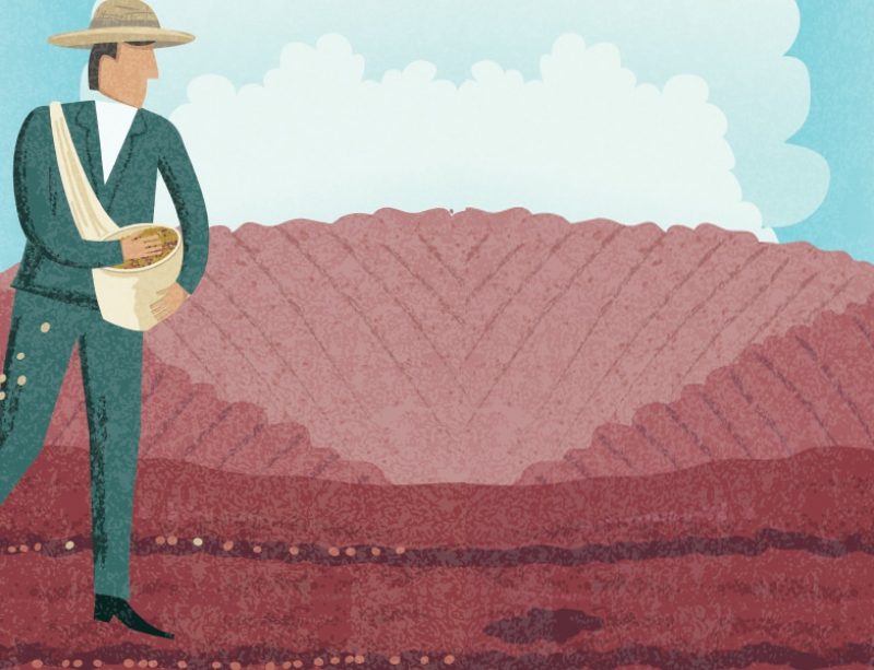 Man farming