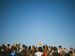 people attend mass outside