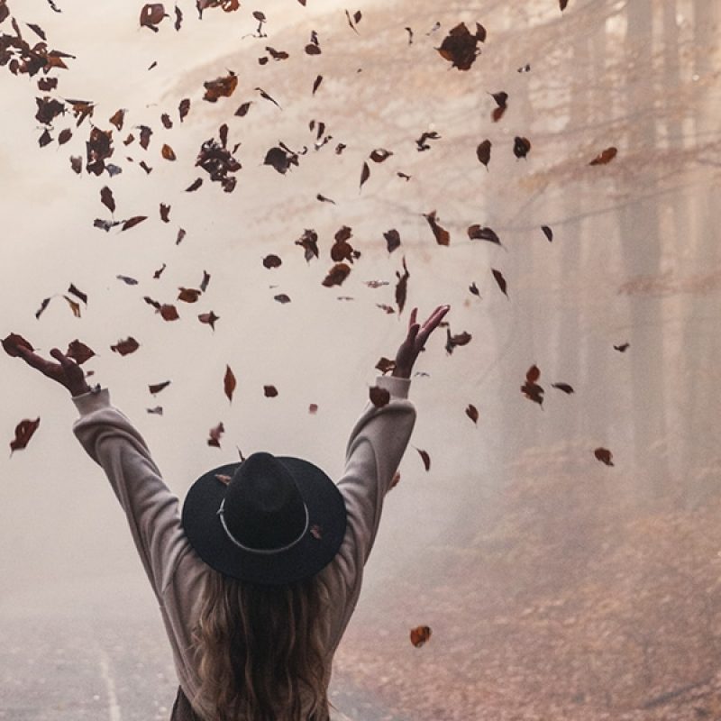 person letting go of leafs blown by the wind