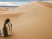 person sitting in the dessert, surrounded by sand dunes, covered by a blanket.