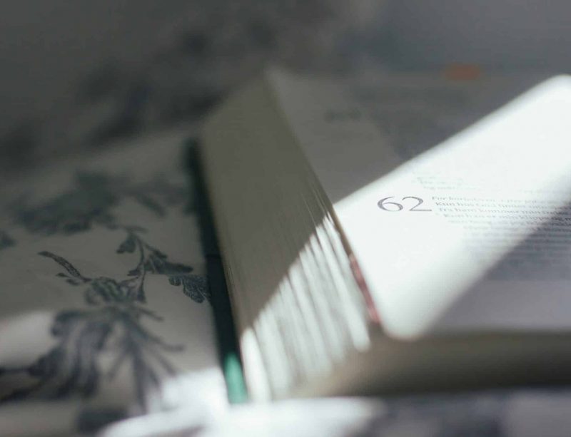 Psalms image | Photo by Lilian Dibbern on Unsplash