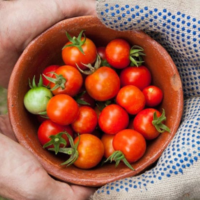 sharing-bowl-tomatoes