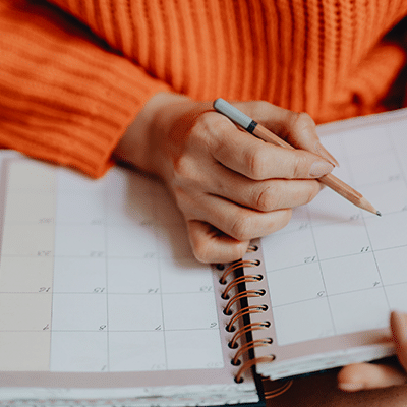 person checking daily calendar