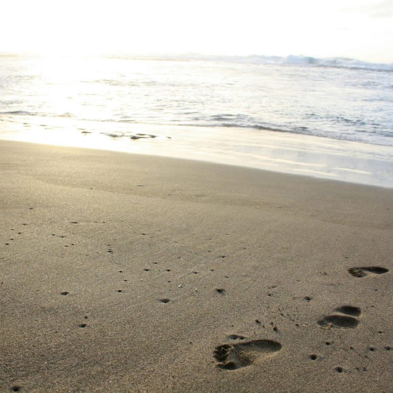 photo-by-soumya-parthasarathy