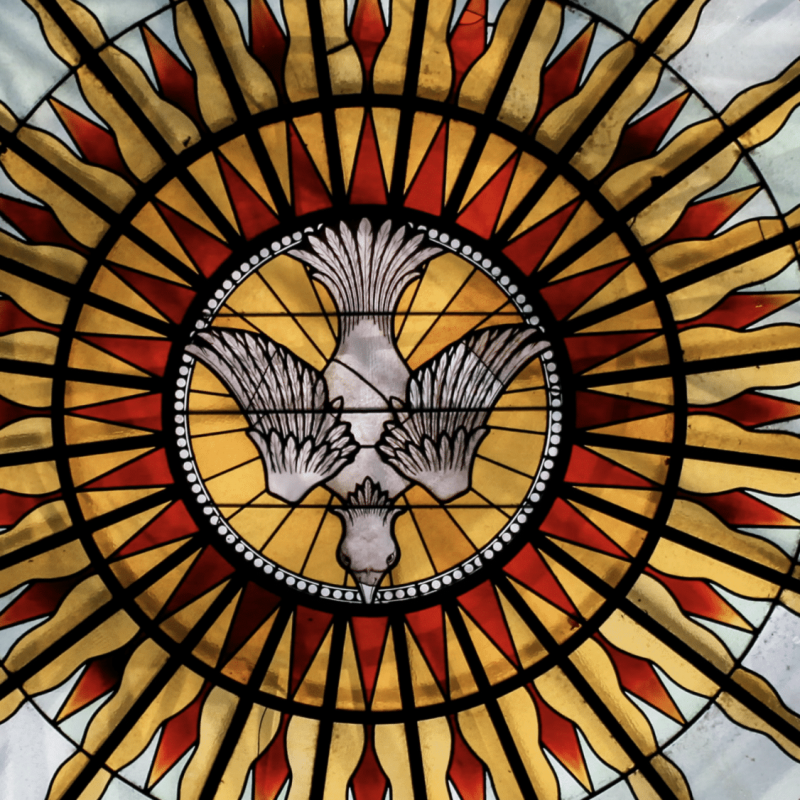 stained-glass-window-of-a-dove