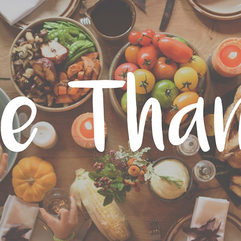 thanks in giving, food, meal