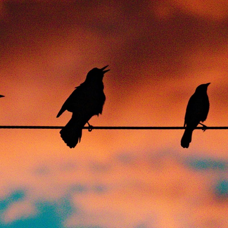 what saint juan Diego heard, Bill Jelen/Unsplash