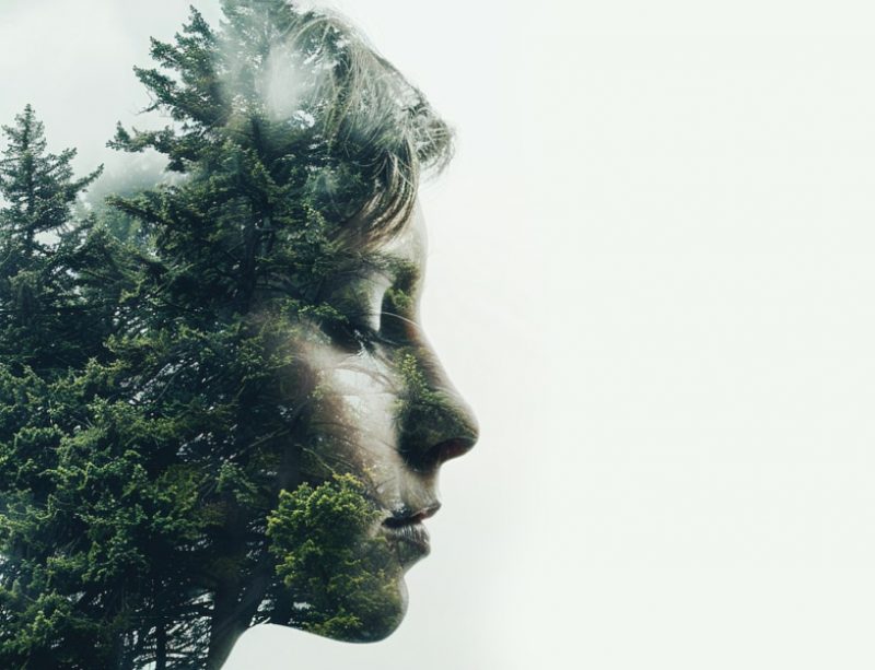 woman and trees in her head