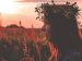 woman wearing a flower crown standing in a field during sunset.
