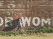 young-girl-by-a-wall-katherine-hanlon-unsplash Young girl next to a wall | Photo by Katherine Hanlon on Unsplash
